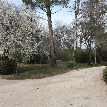Ermitage Notre Dame De Vacquieres Bed & Breakfast Noves Екстериор снимка